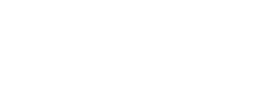 Shopify partner
