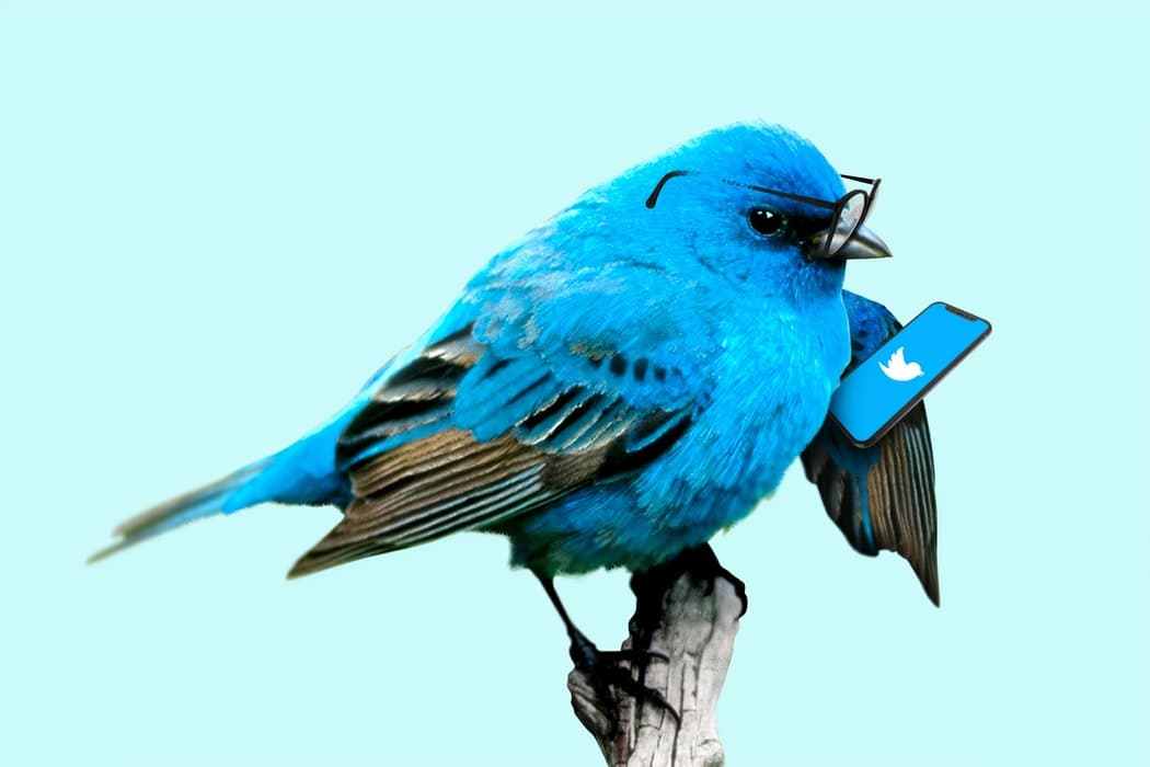 twitter for dummies