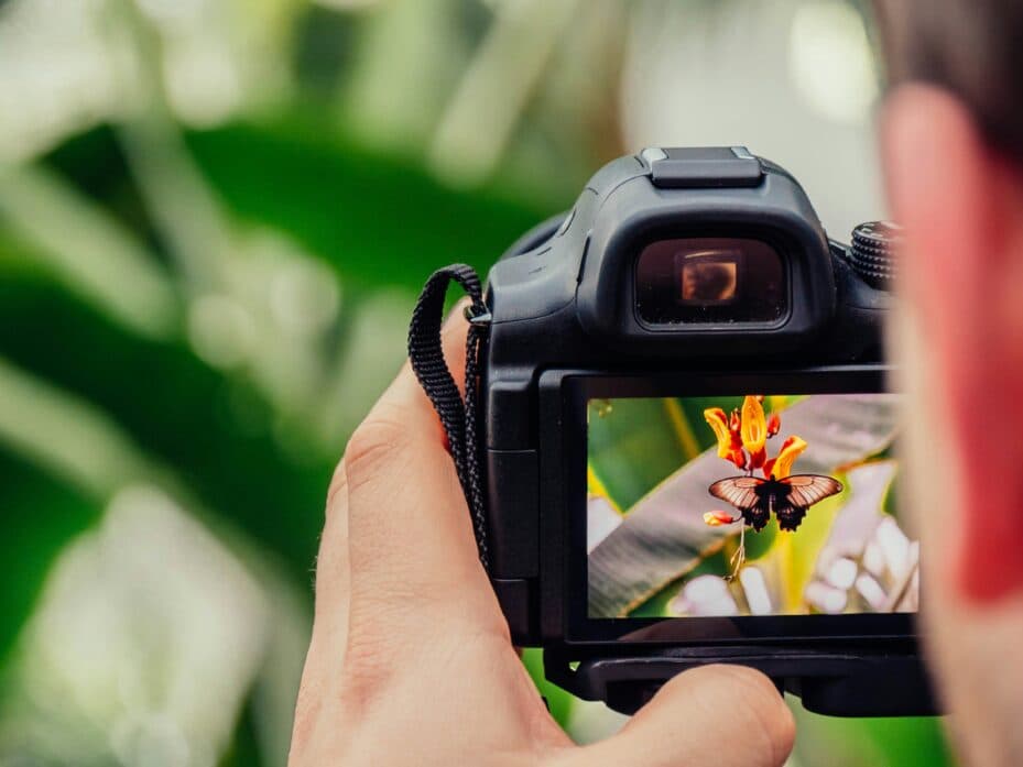 Camera in hand