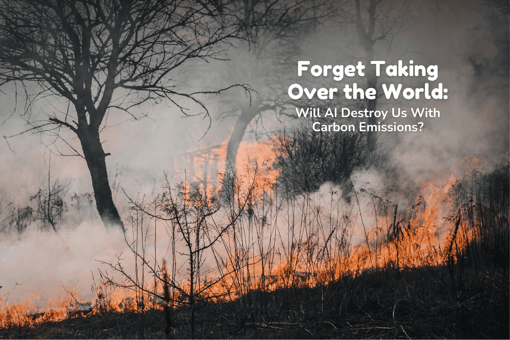 a burning forest