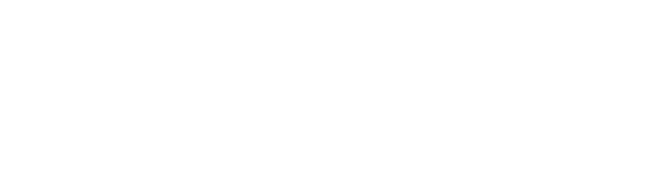 Intrepid logo