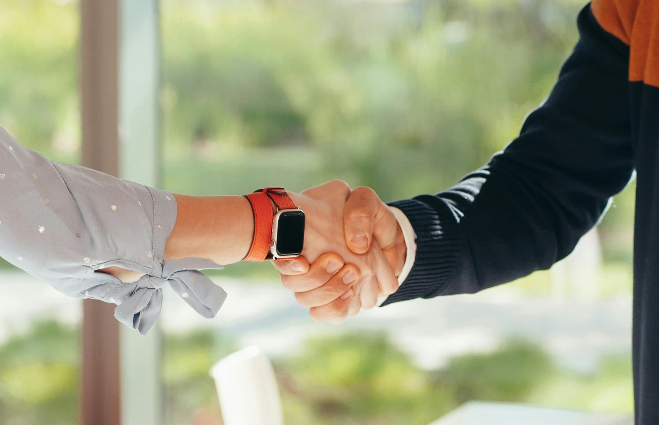 handshake between two men
