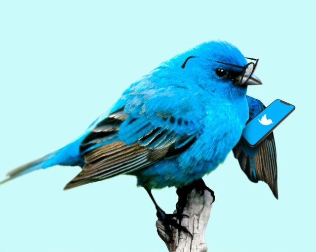 twitter for dummies