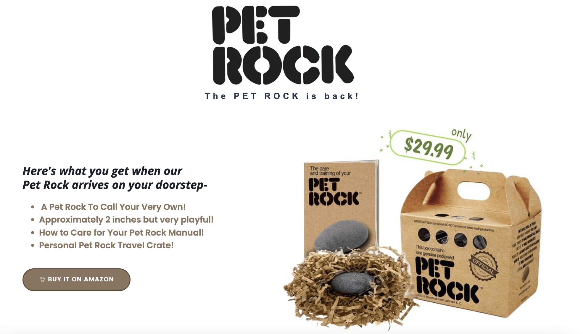 Pet Rock Product