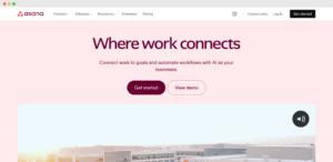 Asana homepage