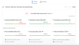 Google Page Speed Insights