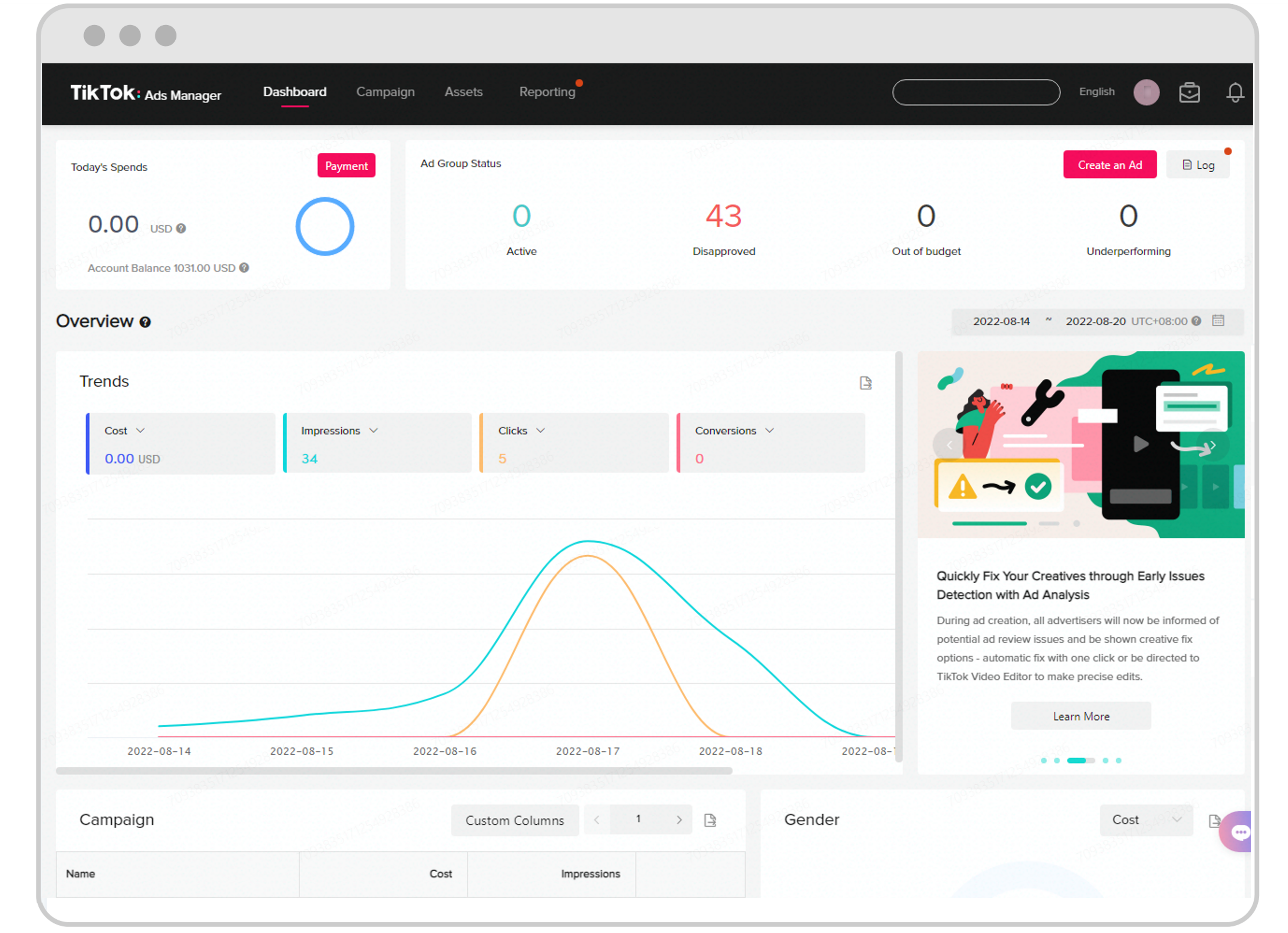 TikTok campaign performance dashboard