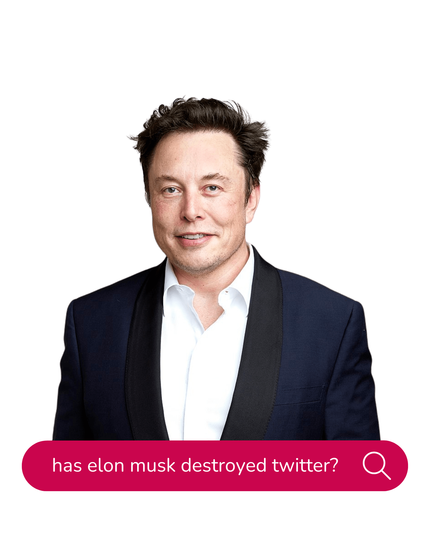 Elon mush and a search bar reading 'has elon musk destroyed twitter?'