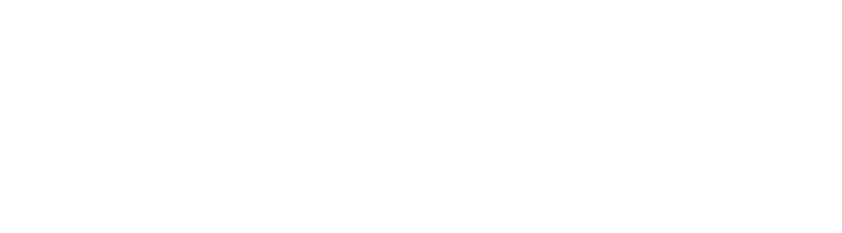 Intrepid logo