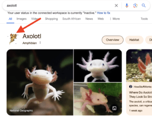 Axolotl on google