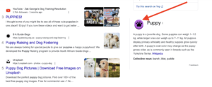 puppy prints on google