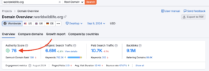 Check Domain Authority on Semrush
